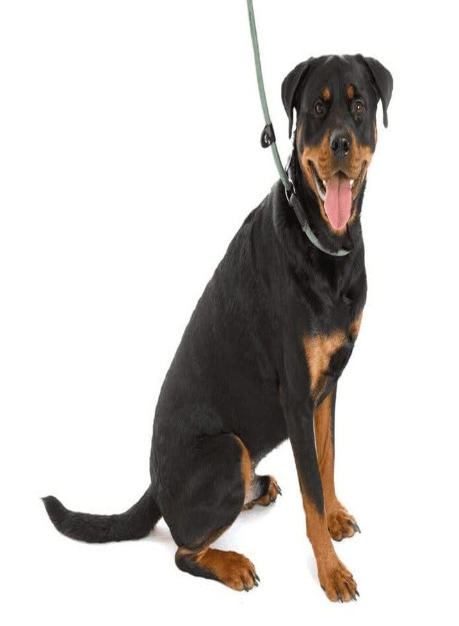 نوترا بت طوق ومقود انزلاقي 3 في 1 من نوترابيت للكلاب | طوق ومقود قابل للتعديل | حبل نايلون متين للتدريب والمشي | أخضر | صغير - Image 2